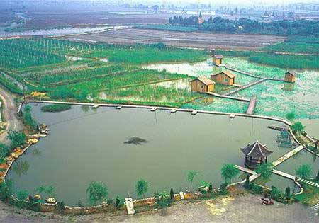 2011091610264850112.jpg 2011091610264850112.jpg